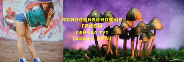 гашишное масло Володарск