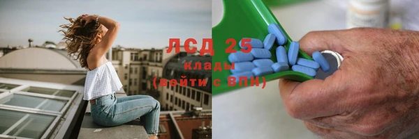 ГАЛЛЮЦИНОГЕННЫЕ ГРИБЫ Вязьма