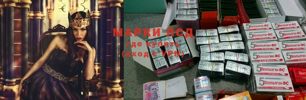 прущие грибы Волоколамск