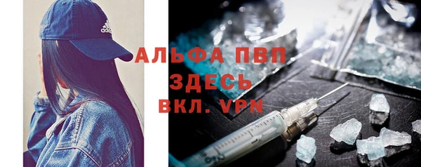 прущие грибы Волоколамск