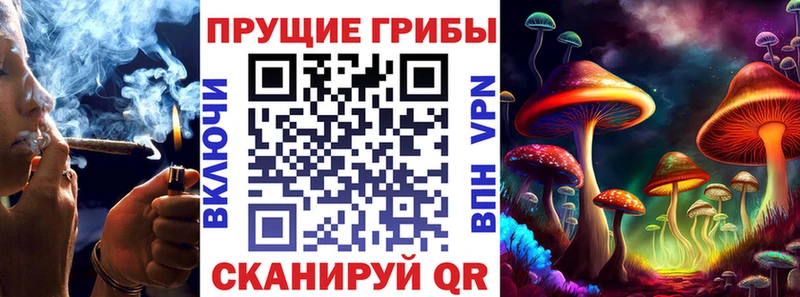 блэк спрут зеркало  Елизово  Галлюциногенные грибы мухоморы  купить закладку 